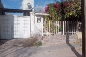 PELUQUERIA CANINA Mi Amigo Fiel