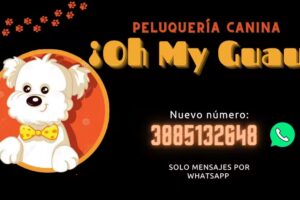 Peluquer&iacute;a canina &iexcl;Oh My Guau!