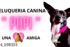 Peluquería Canina ¨POPI¨ una pata amiga