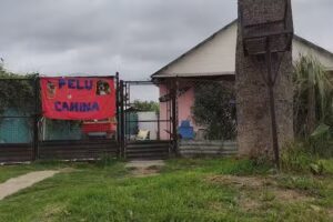 Peluquer&iacute;a Canina Puppy&rsquo;s