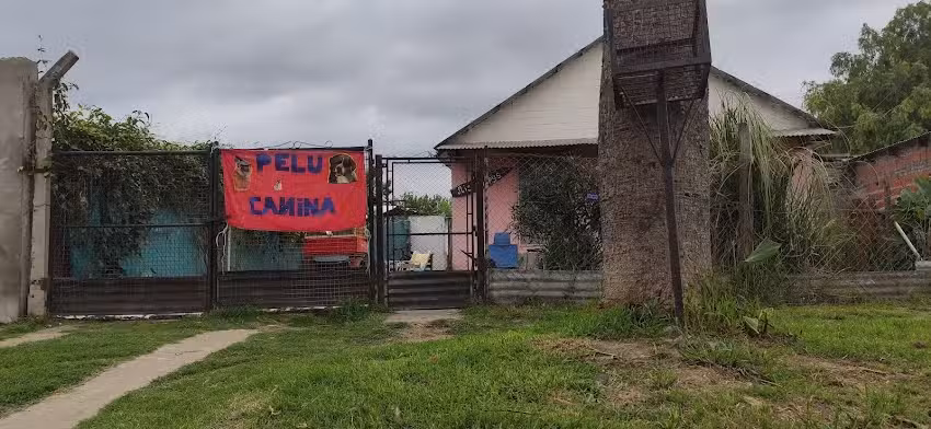 Peluquer&iacute;a Canina Puppy&rsquo;s