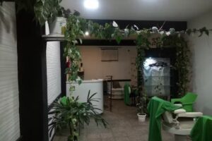 Peluquer&iacute;a Carl&iacute;n