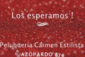 Peluquer&iacute;a Carmen Estilista