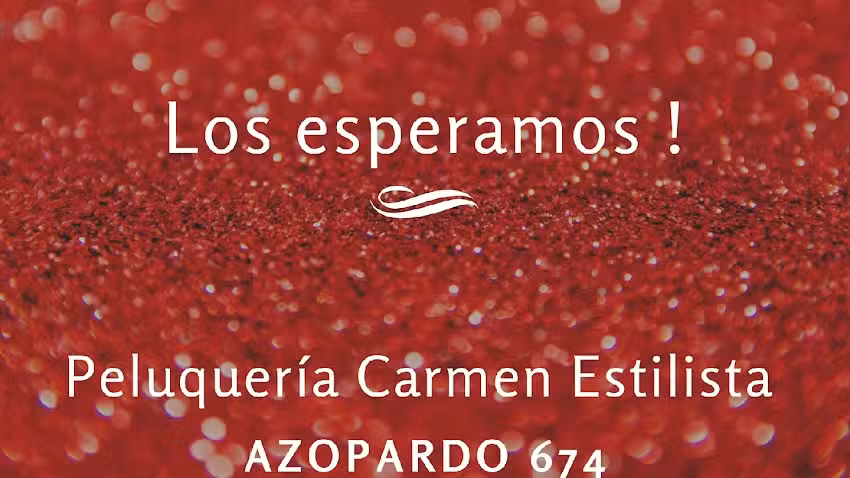 Peluquer&iacute;a Carmen Estilista