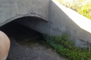 Peluquería cheetsom