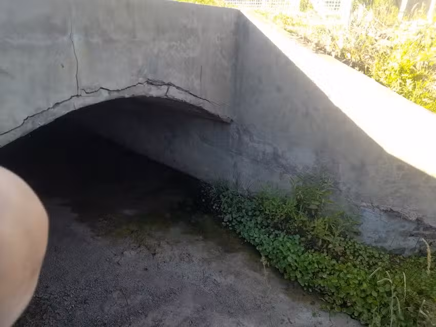 Peluquer&iacute;a chestro