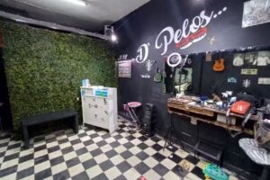 Peluqueria D&rsquo; Pelos