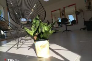 Peluquer&iacute;a Debora