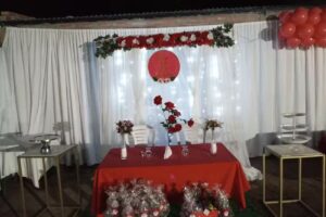 Peluquer&iacute;a el colo