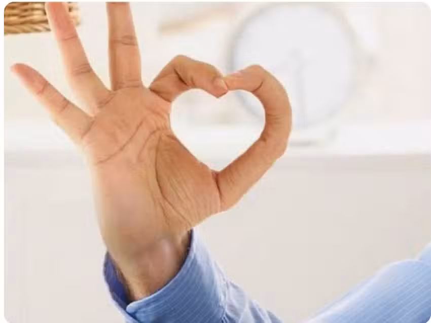 Peluquer&iacute;a El Demente