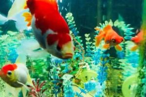 Peluqueria Estilo Martin- Cortes Unisex