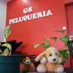 Peluqueria GS