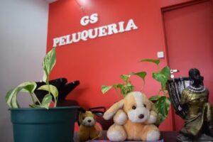 Peluqueria GS