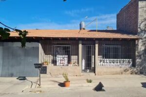 Peluquer&iacute;a, indumentaria & pesta&ntilde;as pelo por pelo