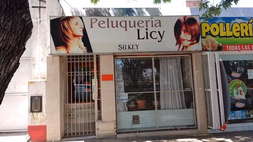Peluquer&iacute;a Licy