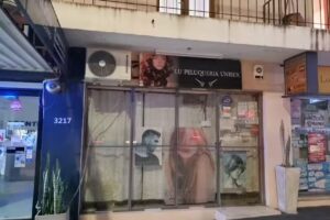 Peluquer&iacute;a lu