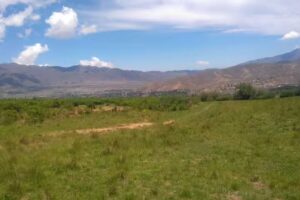 peluqueria pauly cruz