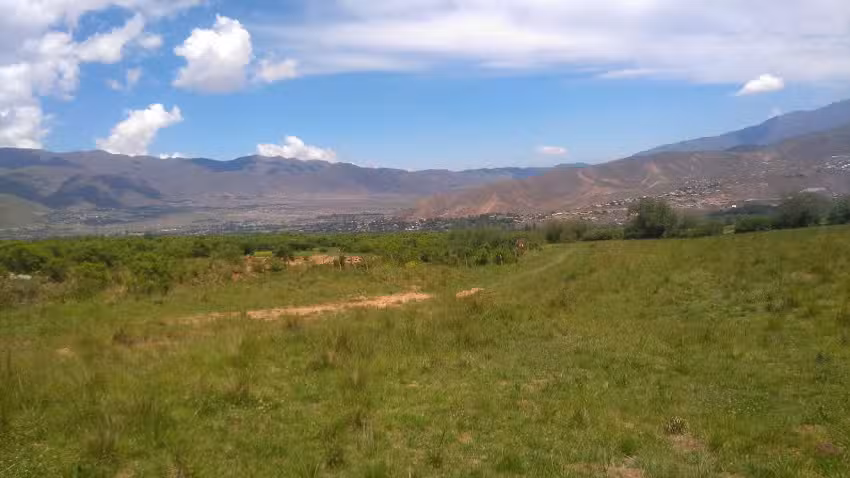 peluqueria pauly cruz