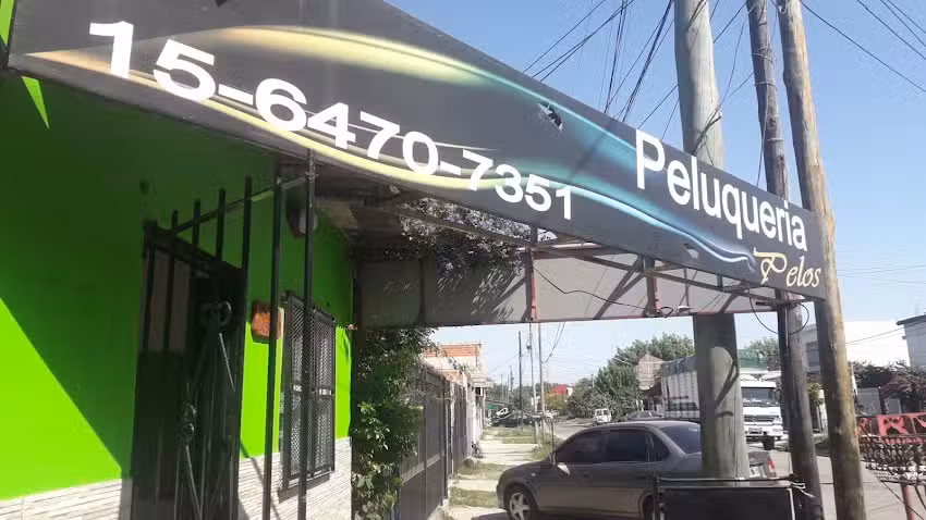 Peluqueria Pelos