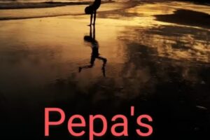 Peluquer&iacute;a pepa&rsquo;s