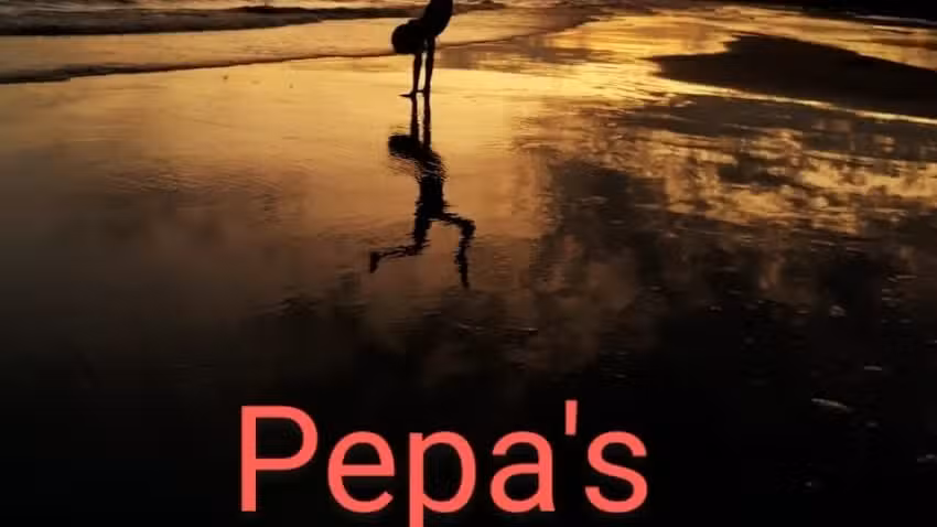Peluquer&iacute;a pepa&rsquo;s