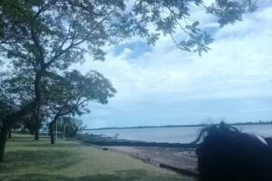 Peluquería Pigmentos Servicios Integrales De Belleza