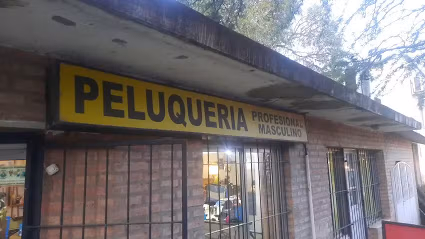 Peluquer&iacute;a Profesional Masculina