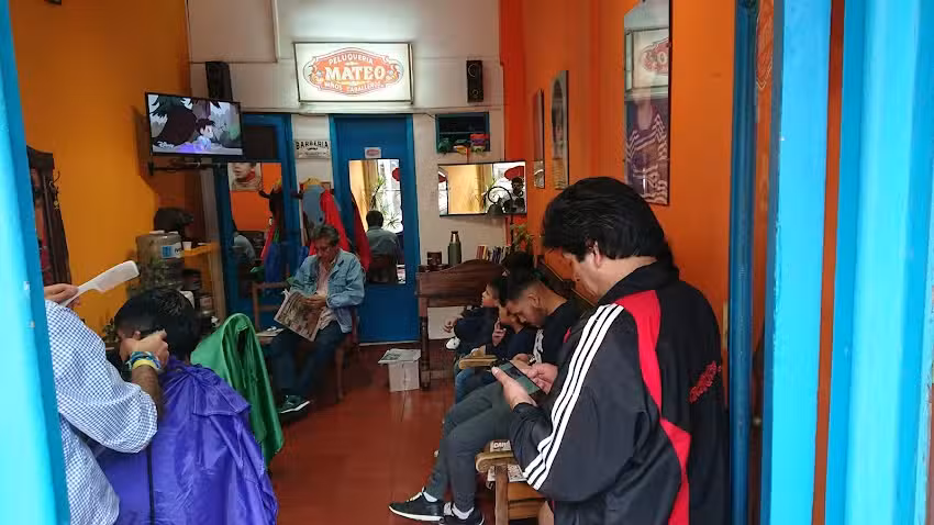 Peluquer&iacute;a profesional Mateo