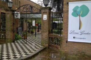 Peluqueria RyF / hombres y ni&ntilde;os/ Wine Hair Studio