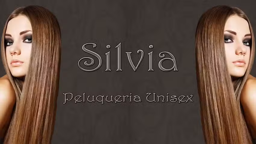 Peluquer&iacute;a Silvia