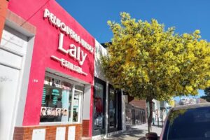 Peluquer&iacute;a Unisex Laly Estilista