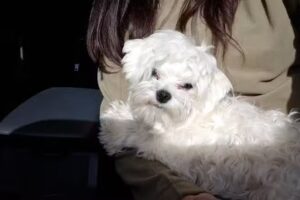 Peluquer&iacute;a Unisex Soy Asi