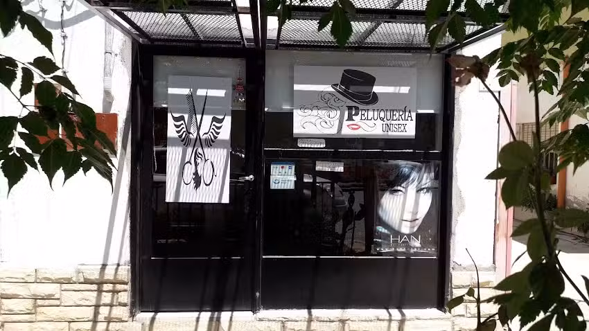 Peluquer&iacute;a Versalicos