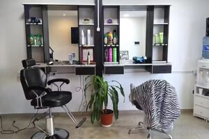 Peluquer&iacute;a y Estetica Change