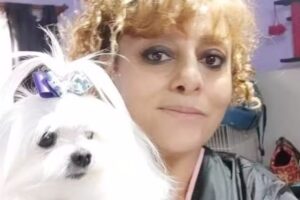 Peluquería y estilista canina y felina Cuchurrumí