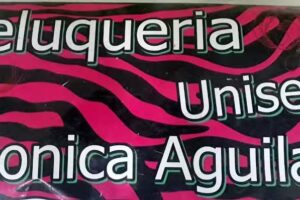 Peluqueria y Estilista Monica Aguila