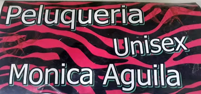 Peluqueria y Estilista Monica Aguila