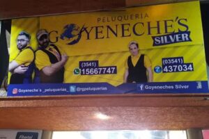 Peluquer&iacute;as Goyeneche&rsquo;s Silver