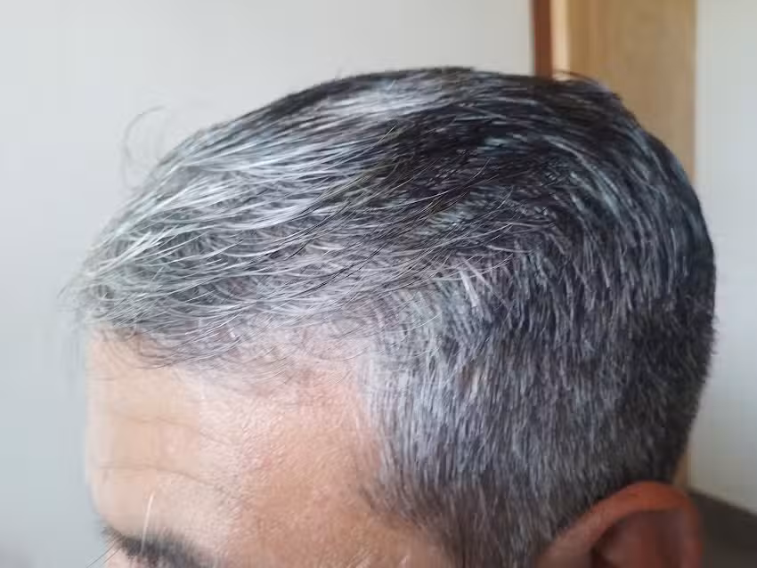 Peluquero Jos&eacute; Beron