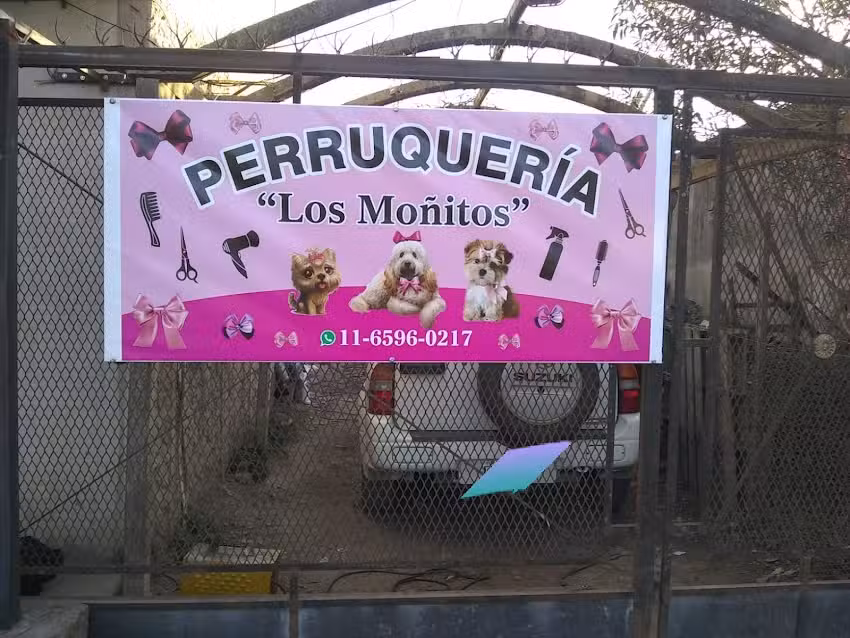 perruqueria los mo&ntilde;itos