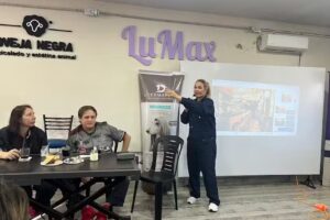 Pichipurris | Peluquería canina y felina