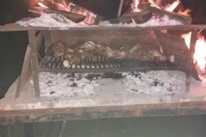 Pitucos peluquer&iacute;a canina