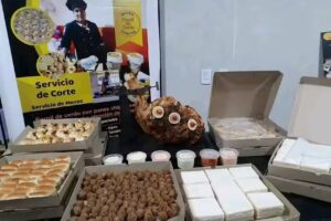 PLASTIFICADO FOTONICO