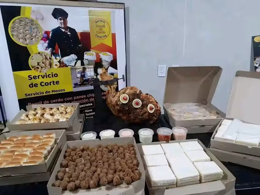 PLASTIFICADO FOTONICO