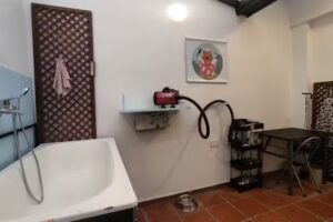 Qu&eacute; Fachita Est&eacute;tica Canina