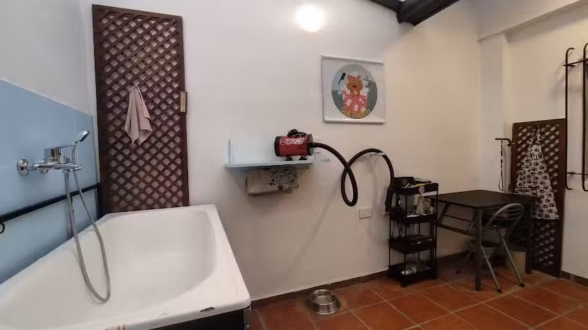 Qu&eacute; Fachita Est&eacute;tica Canina