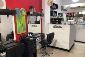 Sal&oacute;n de belleza Lourdes