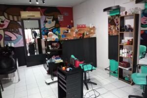 Sal&oacute;n Unisex Cecilia Bernay