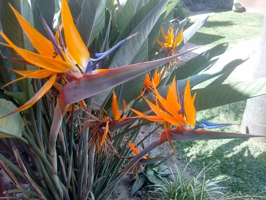 Silvina Chavero Sal&oacute;n de Peluquer&iacute;a