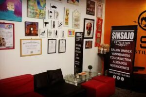 Sinsajo &ndash; Estilistas